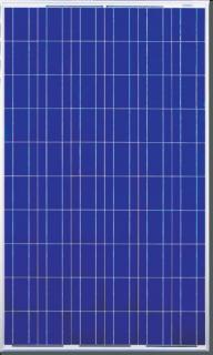 Canadian Solar 245Wp